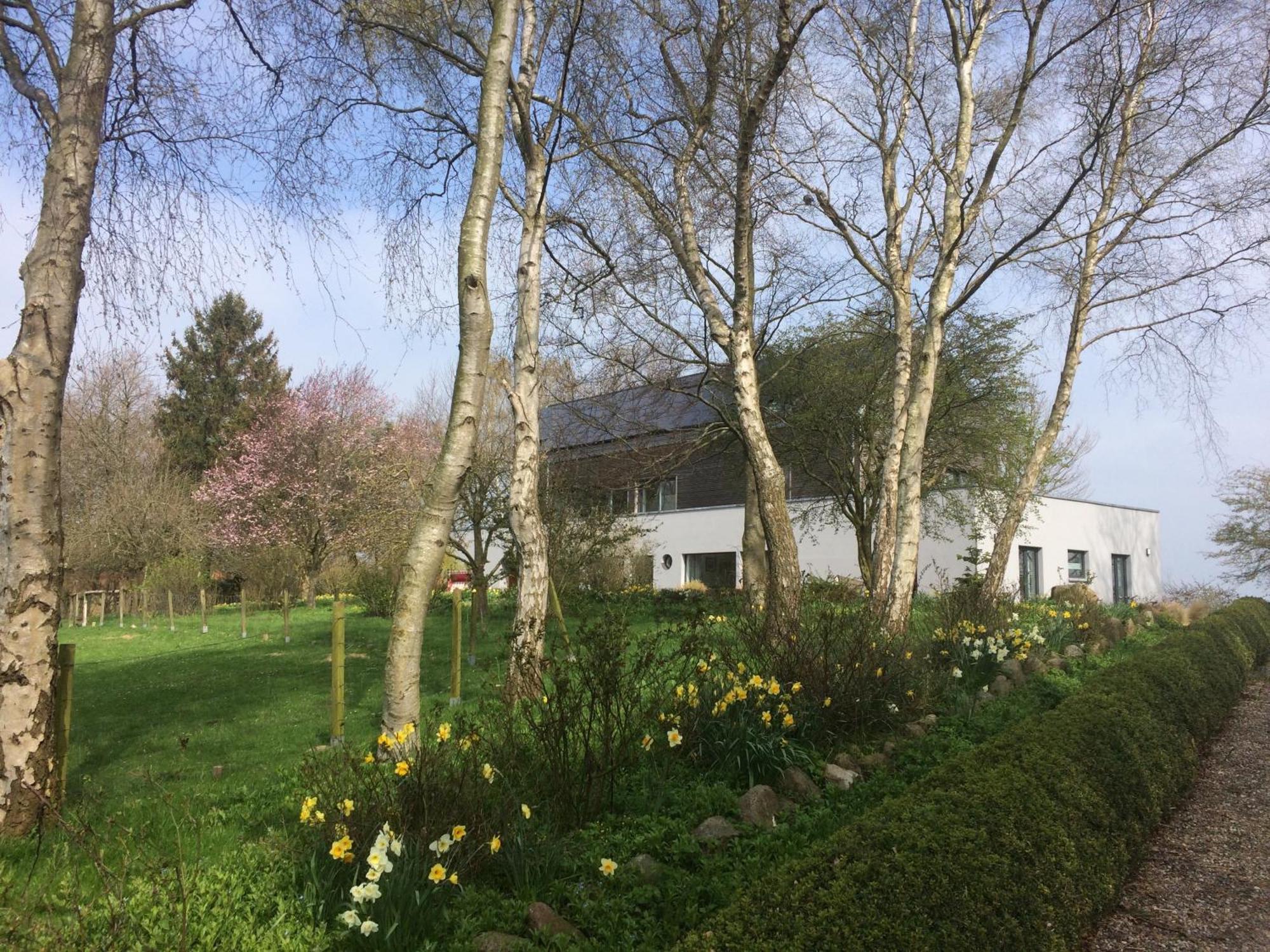 Beltblick Apartment Fehmarn Exterior photo